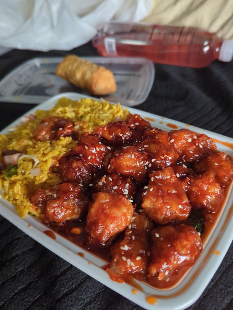 Happy Panda Photos 2